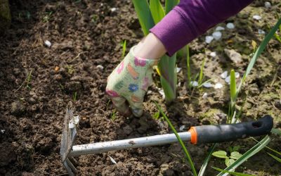 Comment niveler un terrain à la main ?